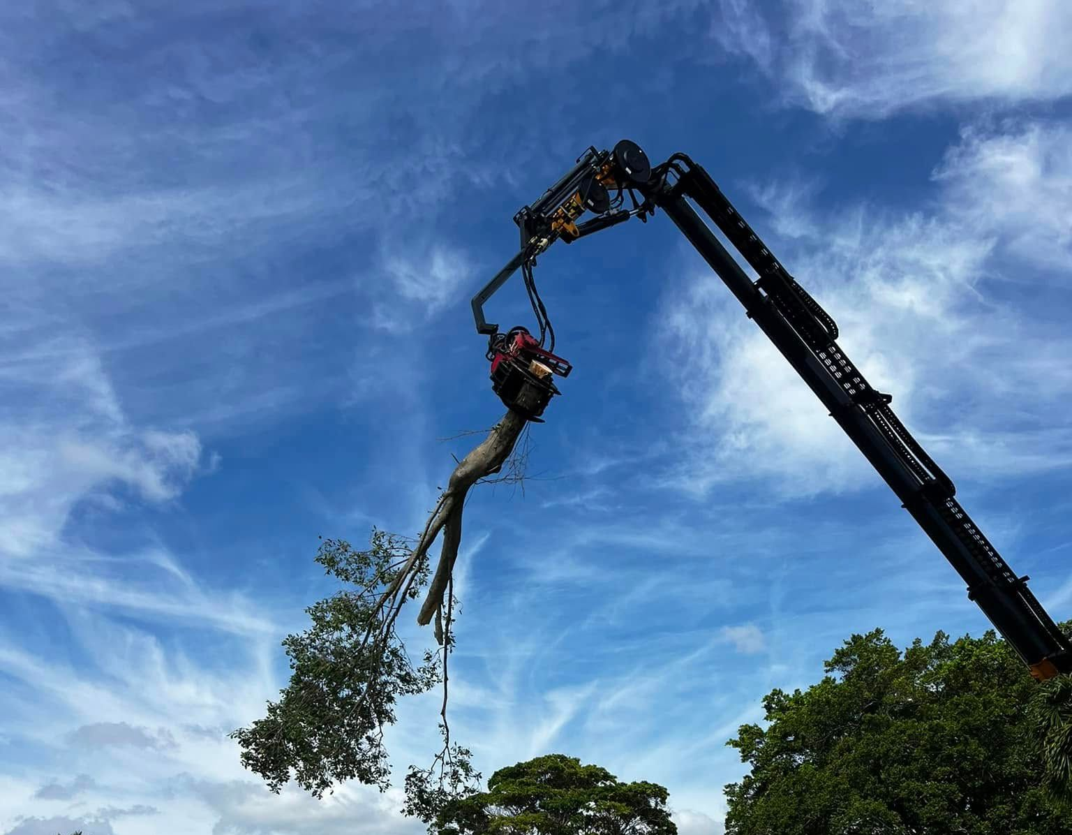 Commercial Crane Service