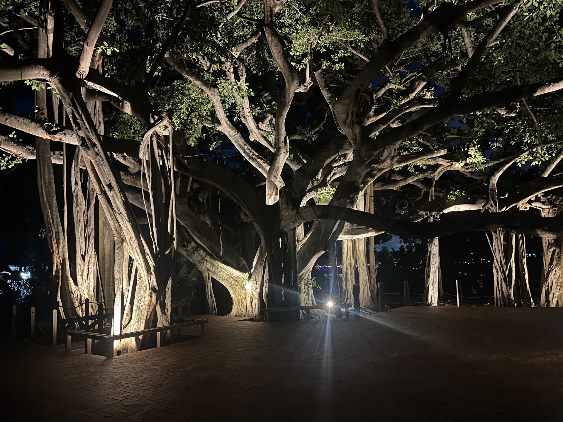 Lighting Installation