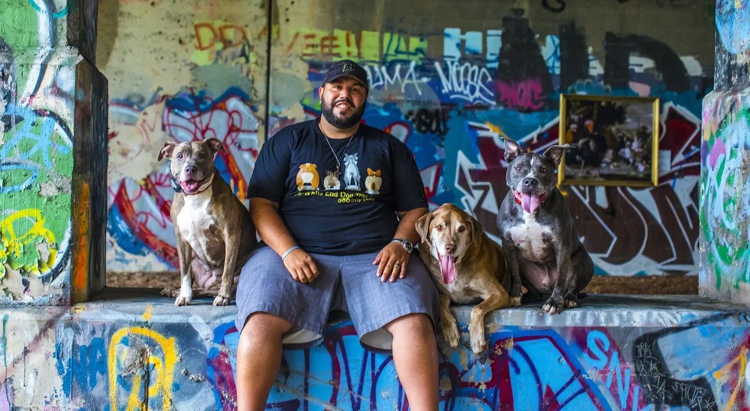 A man is sitting on a bench with two dogs in front of a graffiti wall.
