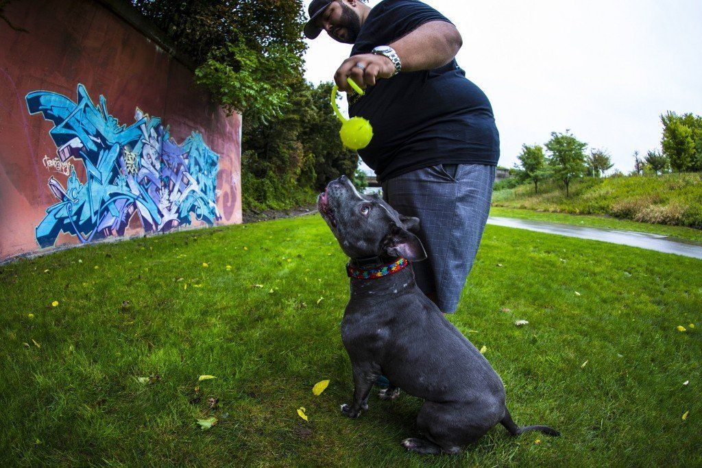 A man is playing with a dog in a park.