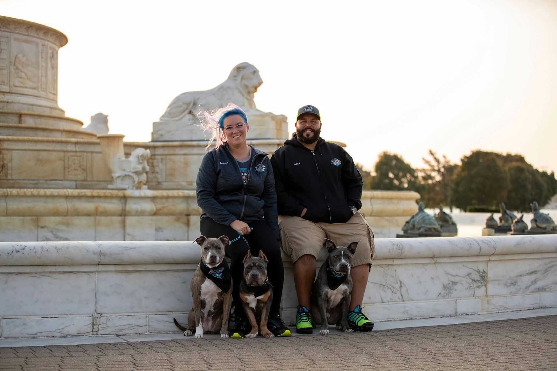 A husky puppy is giving a high five to a person.