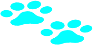 A pair of blue paw prints on a white background.