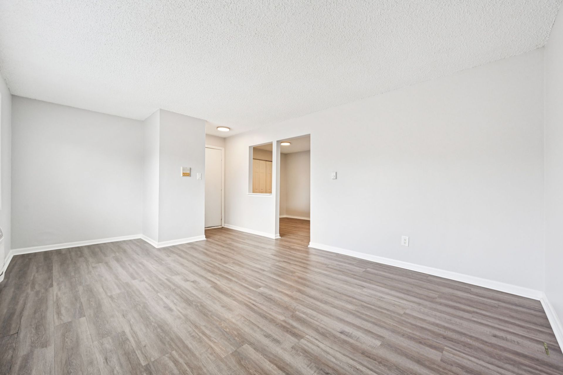Empty living room with gray wood-look flooring, white walls, and an opening to another room.