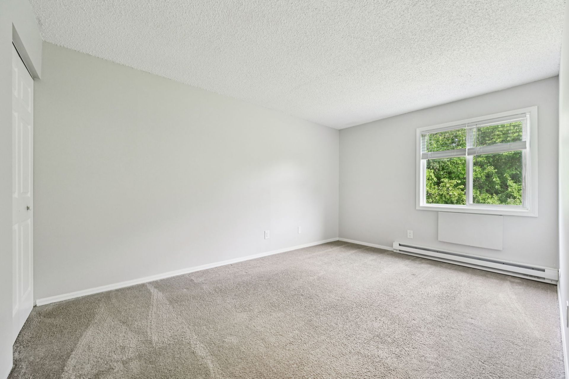 Empty bedroom with light gray walls, carpet, and a window with green outside.