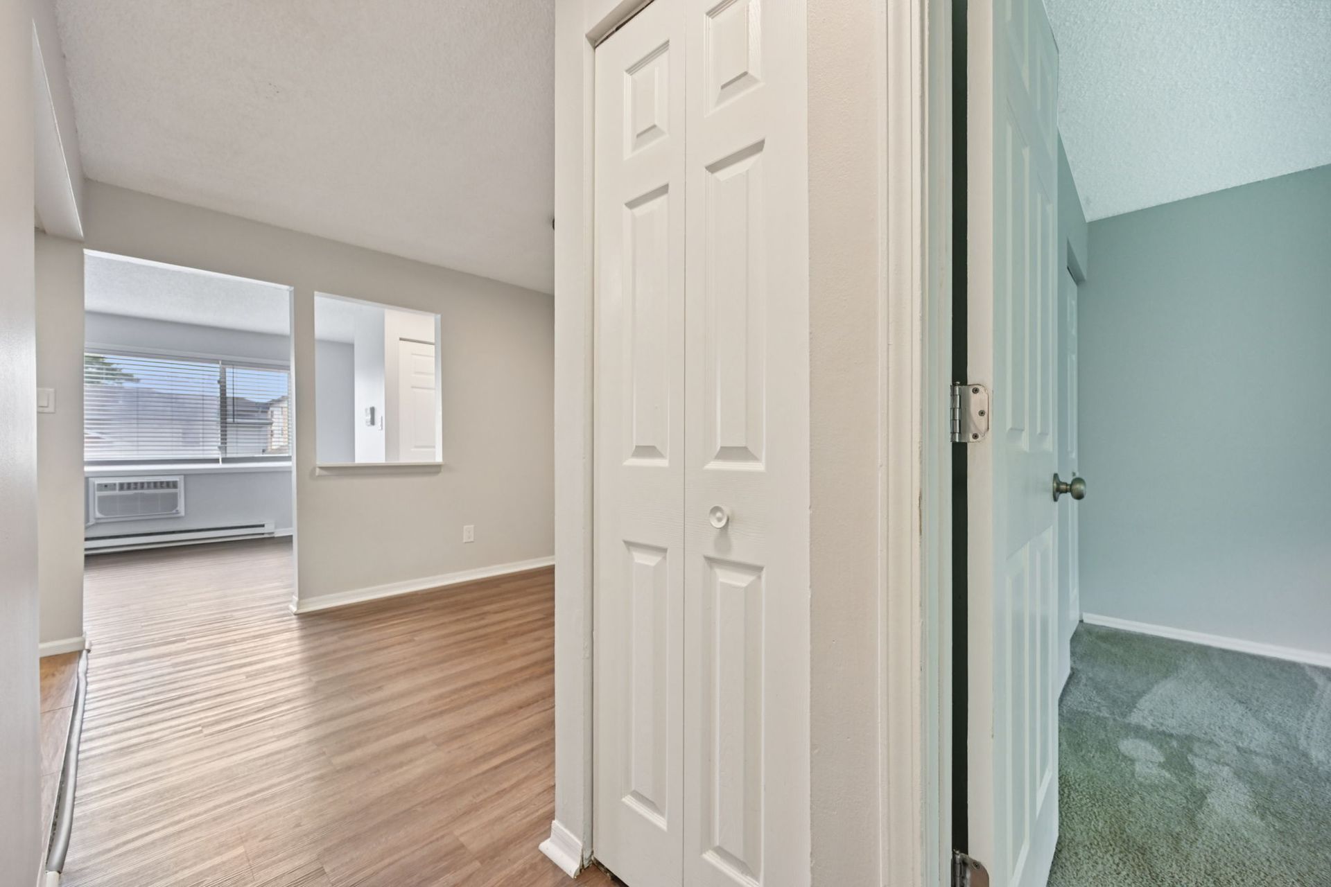Hallway with closed white closet door, leading to rooms with hardwood floors and carpeting.