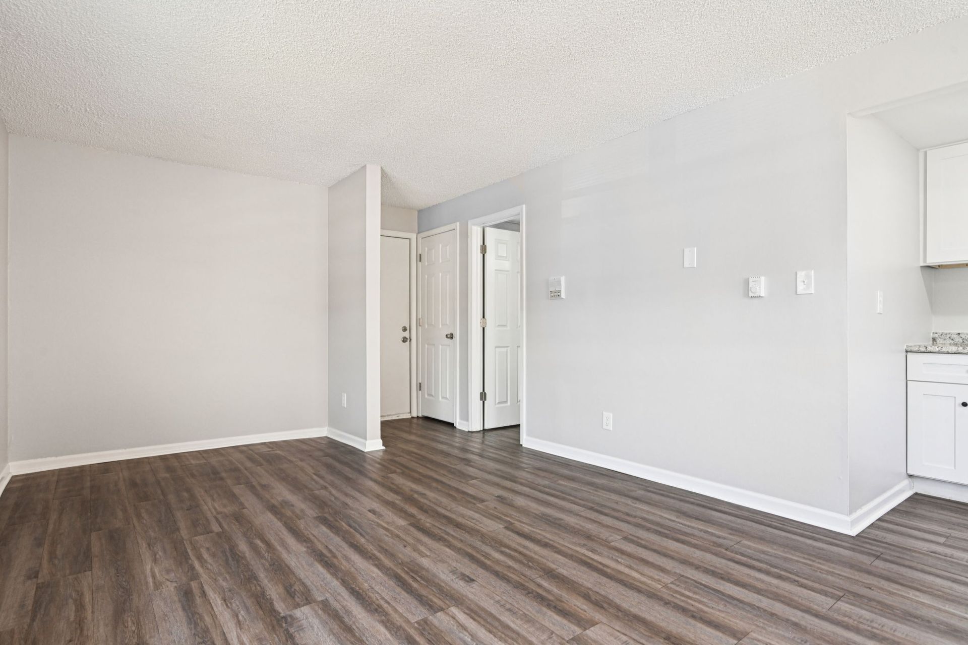 Empty apartment interior with gray walls, wood floors, and white doors.