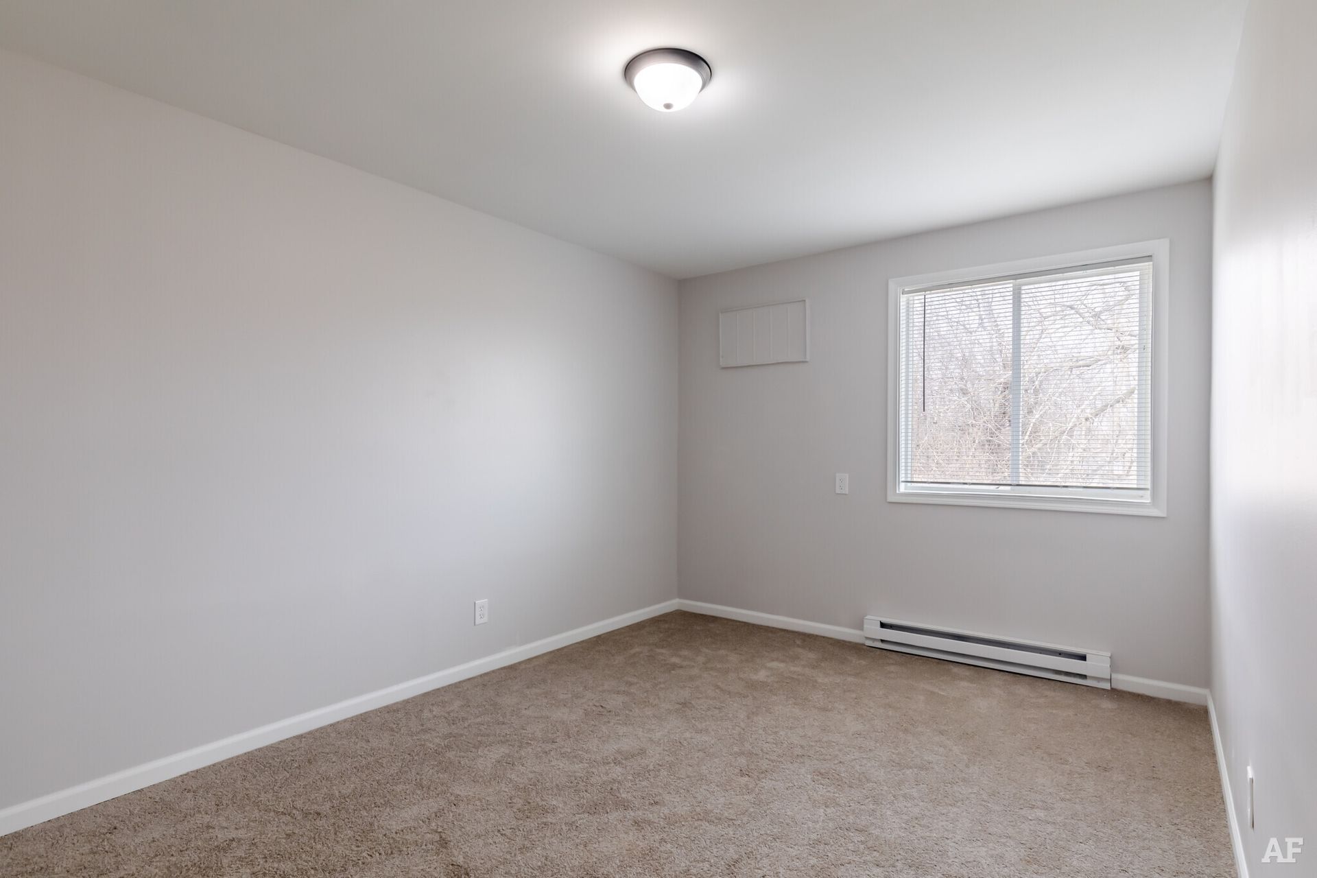 Empty bedroom with brown carpet, gray walls, window with blinds, and ceiling light.