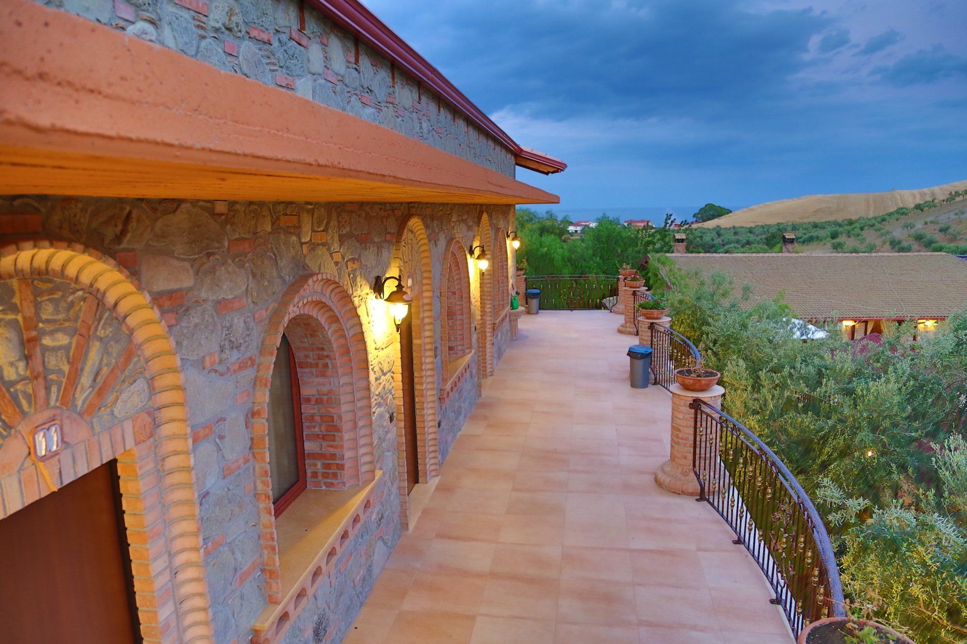 Vigneti in azienda agricola