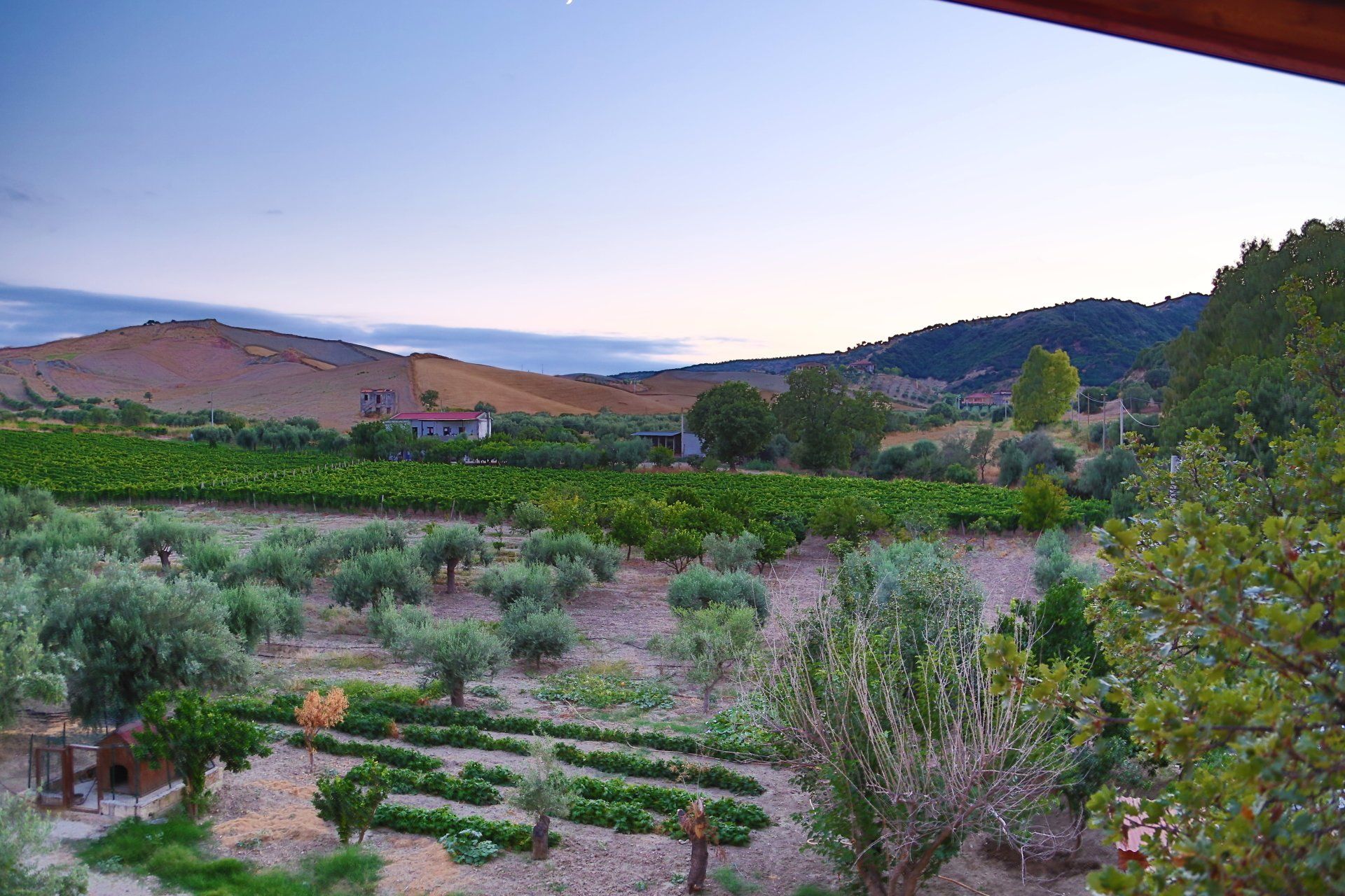 Coltivazioni biologiche in agriturismo