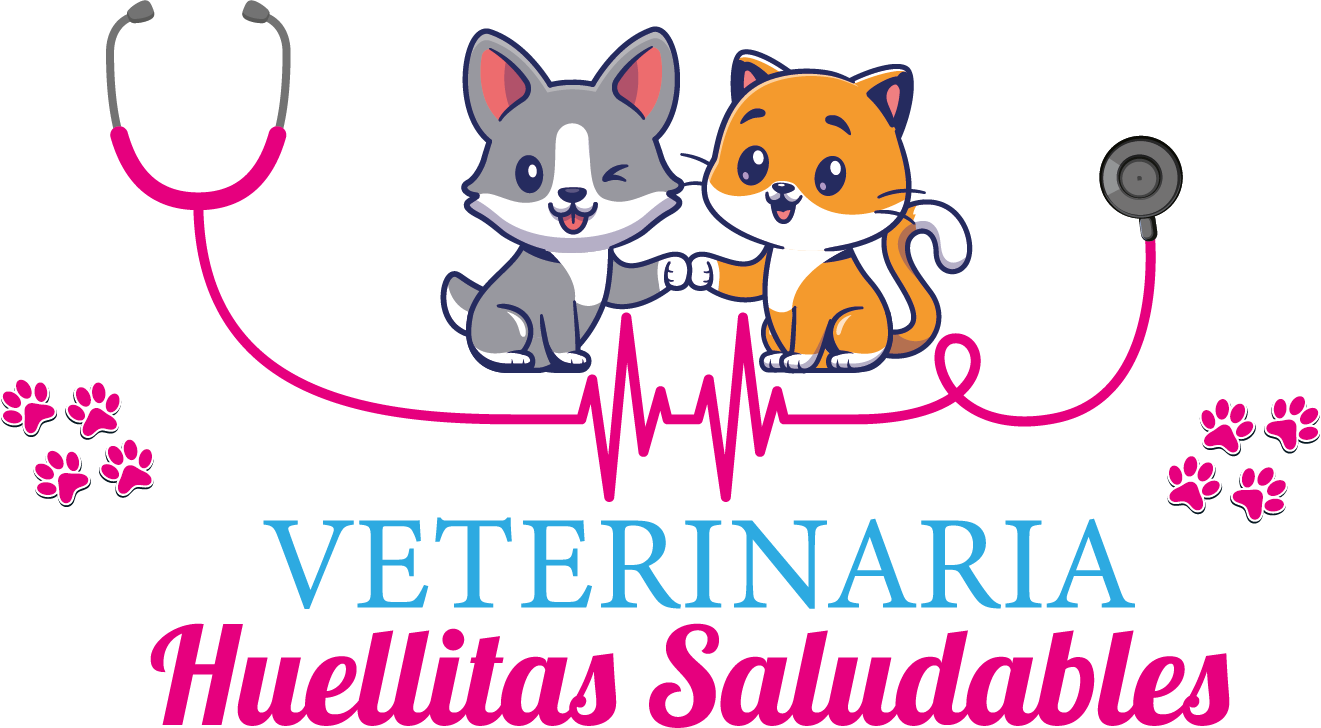 HUELLITAS SALUDABLES