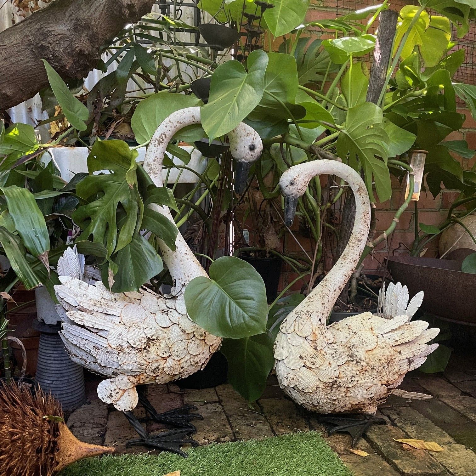 montmorency florist flower delivery, florist eltham, florist briar hill, florist greensborough 