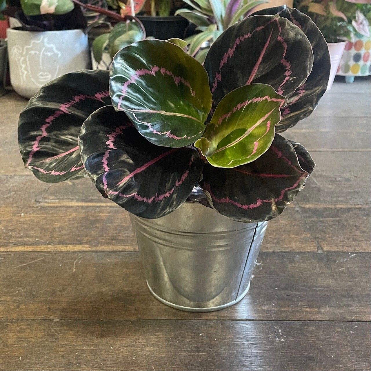 montmorency florist flower delivery, florist eltham, florist briar hill, florist greensborough, wedding flowers eltham 