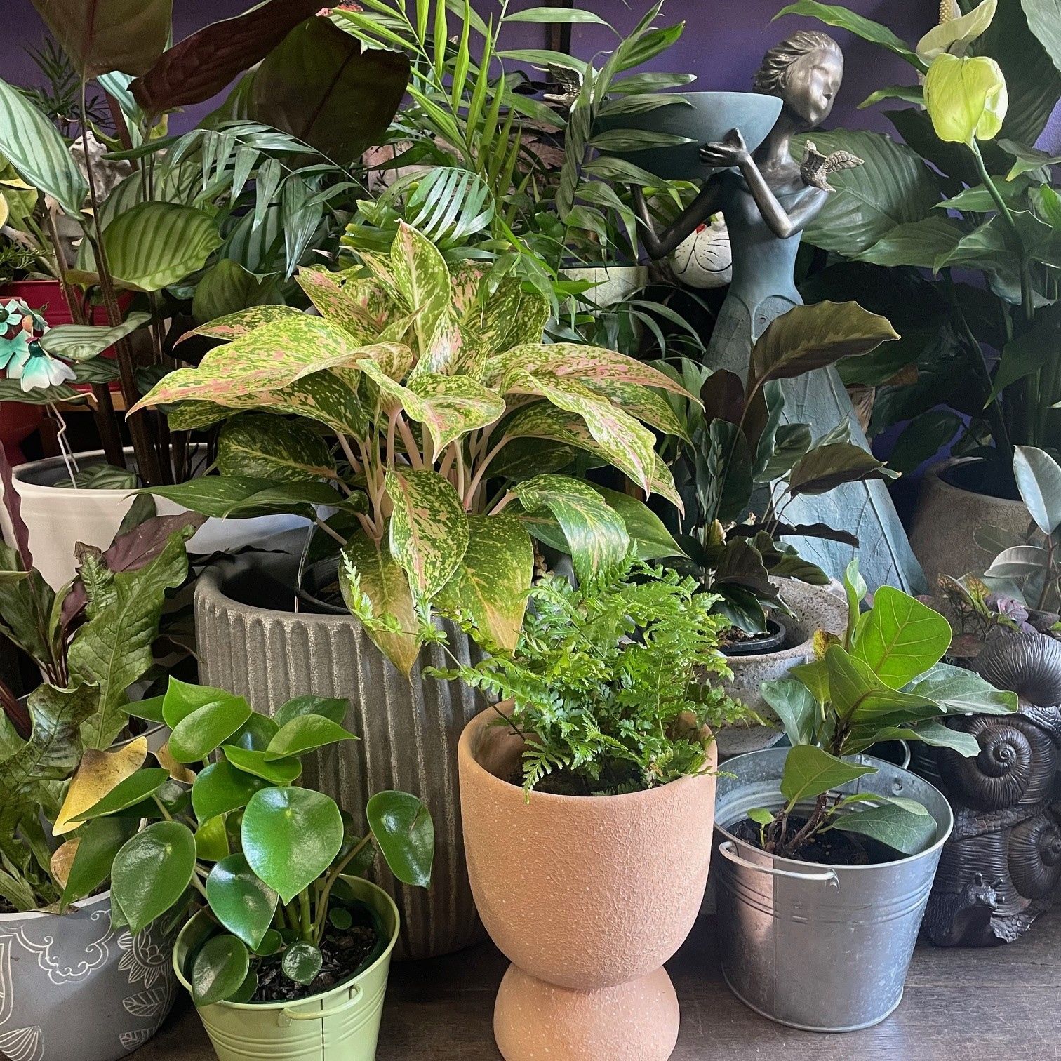 montmorency florist flower delivery, florist eltham, florist briar hill, florist greensborough