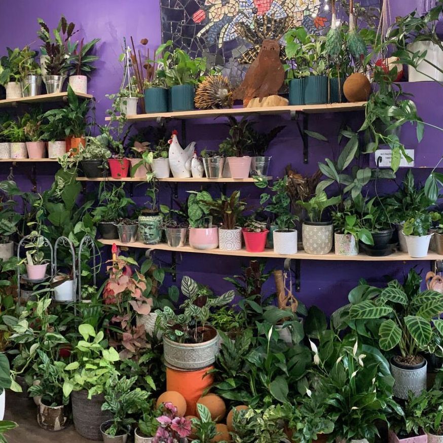 montmorency florist flower delivery, florist eltham, florist briar hill, florist greensborough 