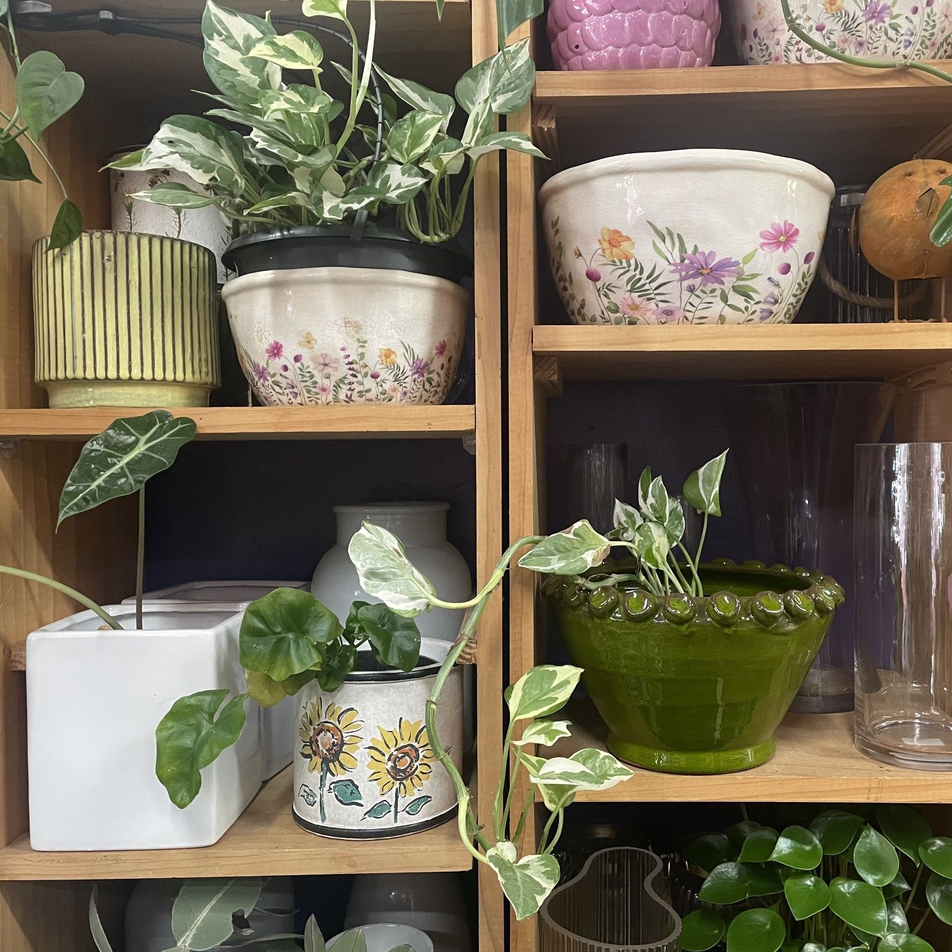 montmorency florist flower delivery, florist eltham, florist briar hill, florist greensborough