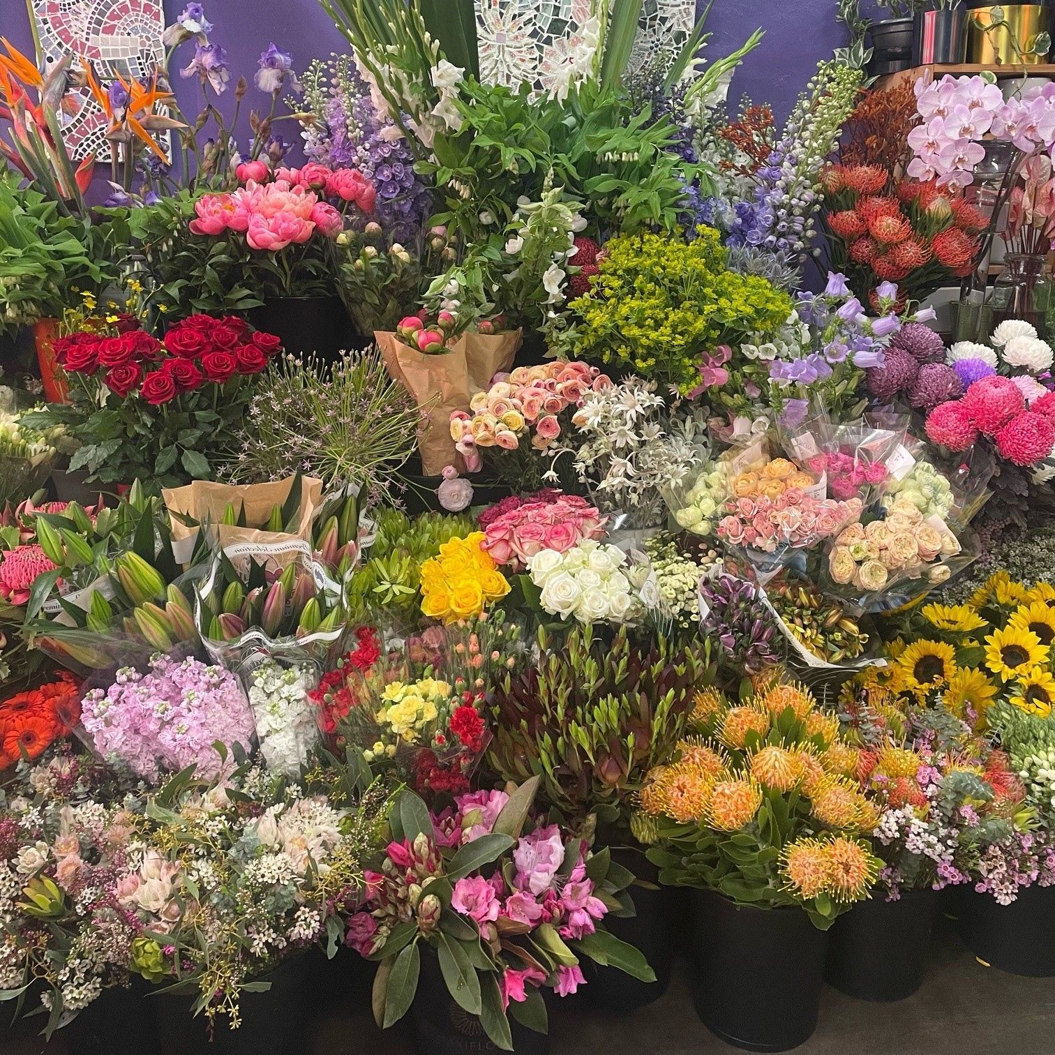 montmorency florist flower delivery, florist eltham, florist briar hill, florist greensborough