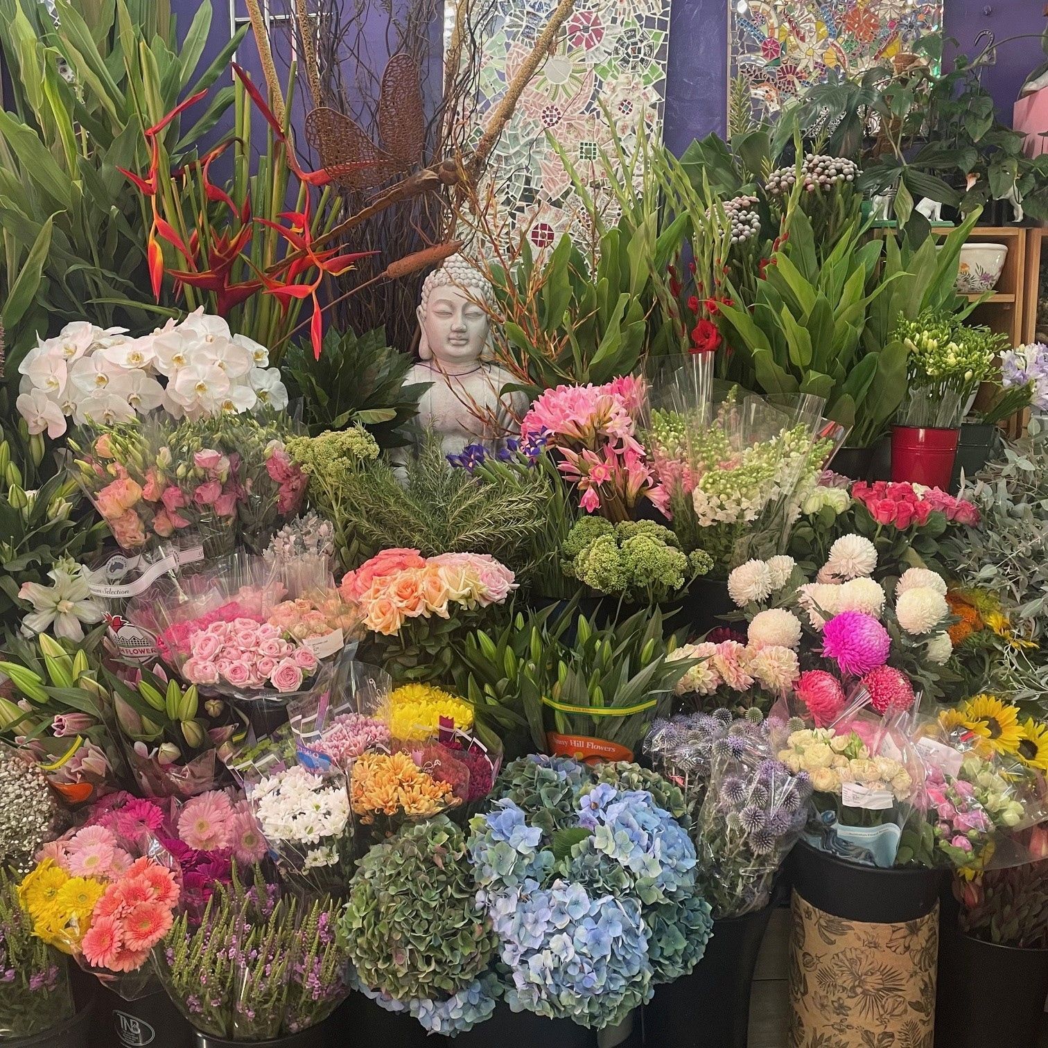 montmorency florist flower delivery, florist eltham, florist briar hill, florist greensborough 