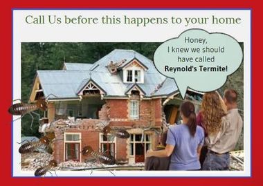 Termite — Reynold's Termite Poster in San Clemente, CA