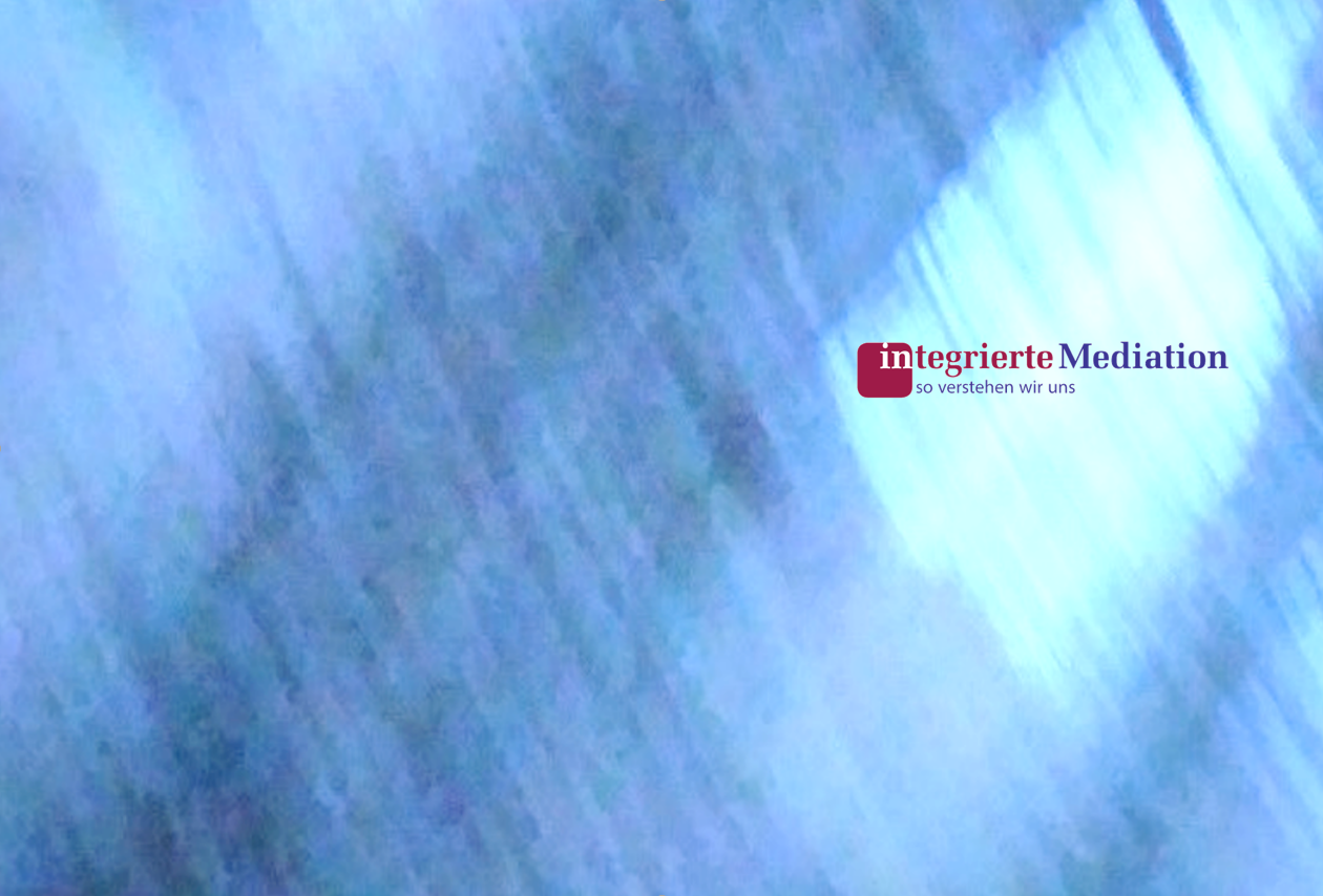 Integrierte Mediation, Mediator Prof. Dr. Holger Kern