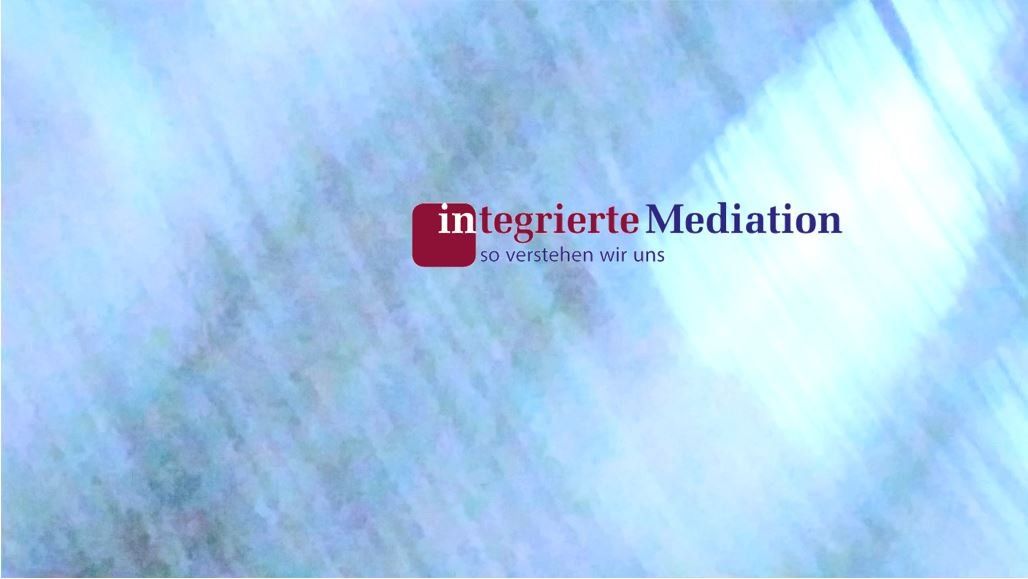 Integrierte Mediation, Mediator Prof. Dr. Holger Kern