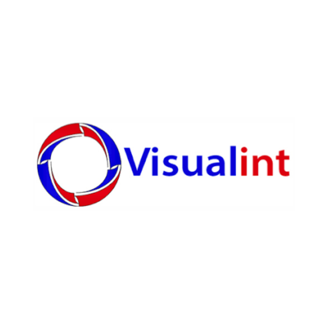 A red and blue logo for visualint on a white background