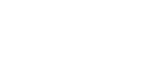 Dixie Transport Inc logo