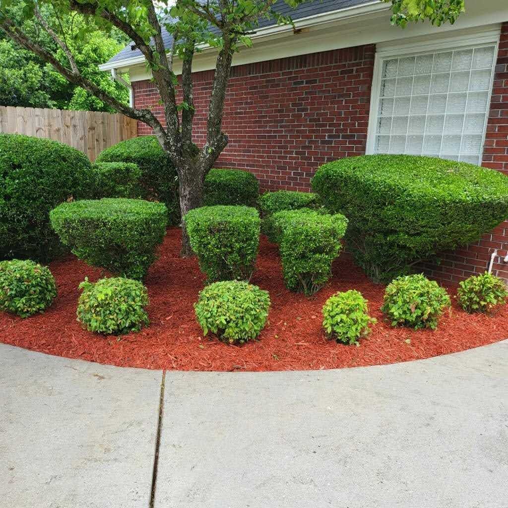 Hedge Trimming