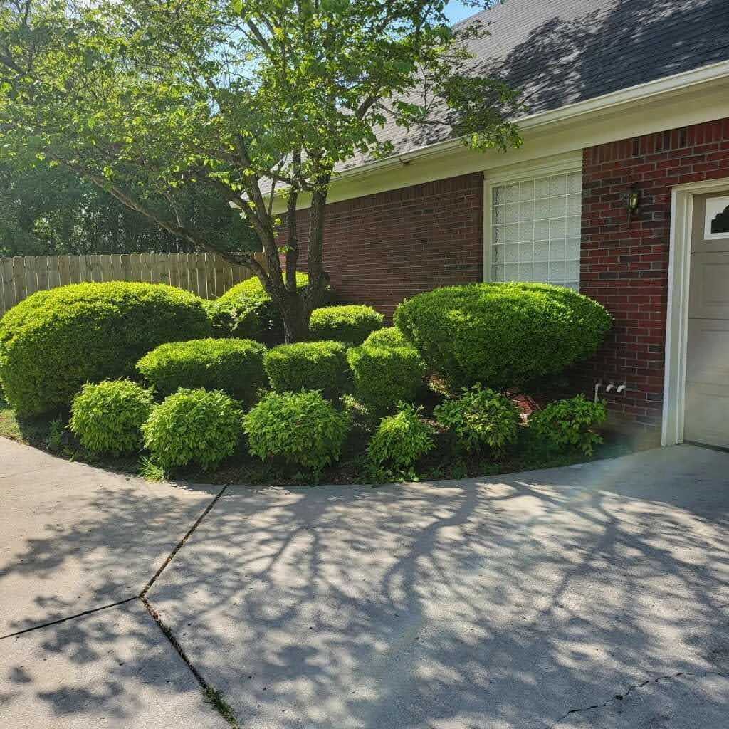Hedge Trimming