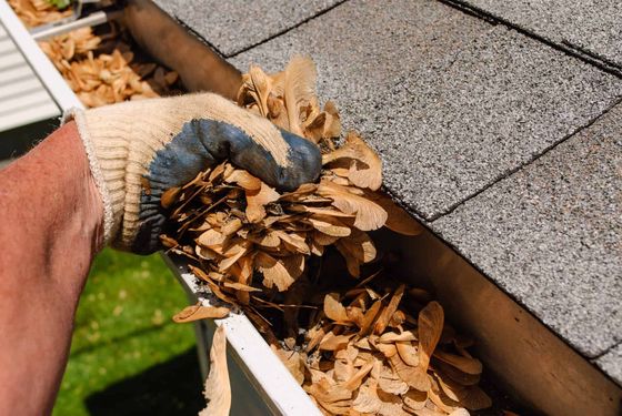 gutter cleaning service