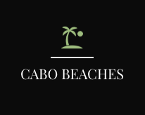 A logo for cabo beaches with a palm tree and a ball on a black background.