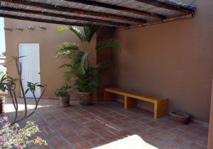 A patio with a yellow bench and potted plants