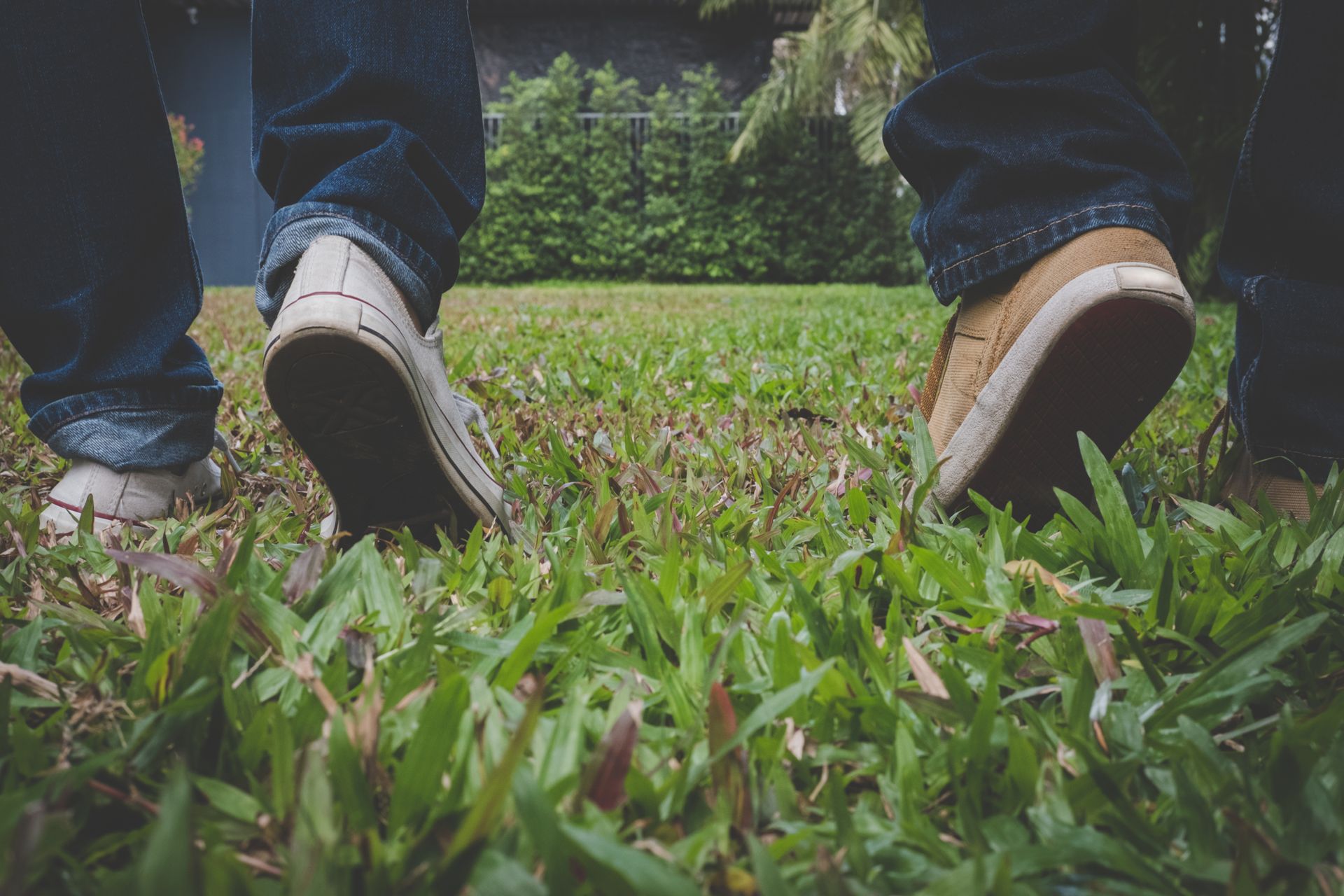Three people standing in grass, legs and shoes visible. Jeans, white and tan sneakers. Lush green background.