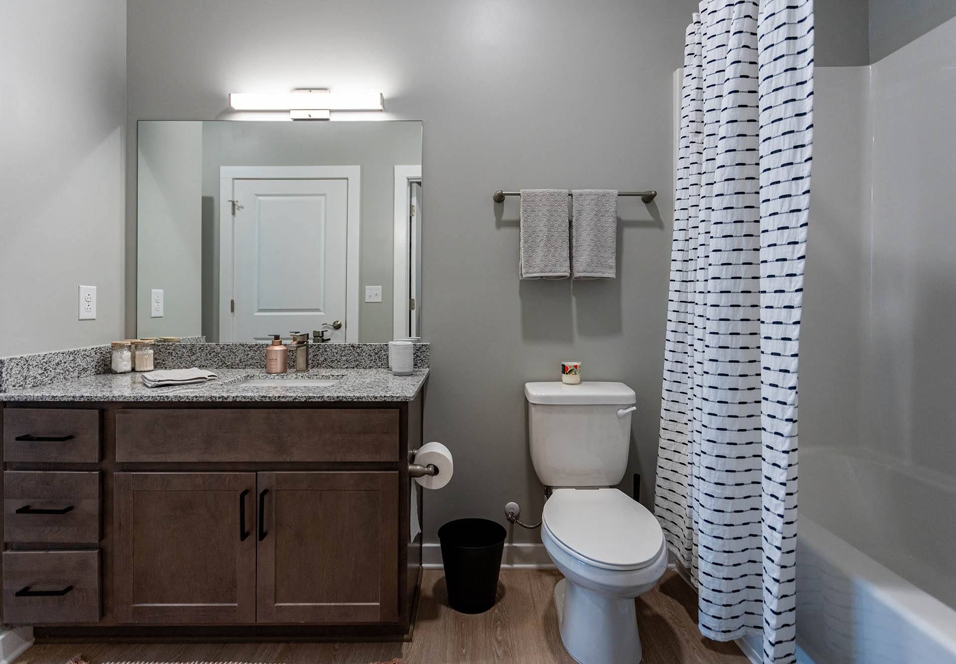 the enclave at homecoming terra vista bathroom