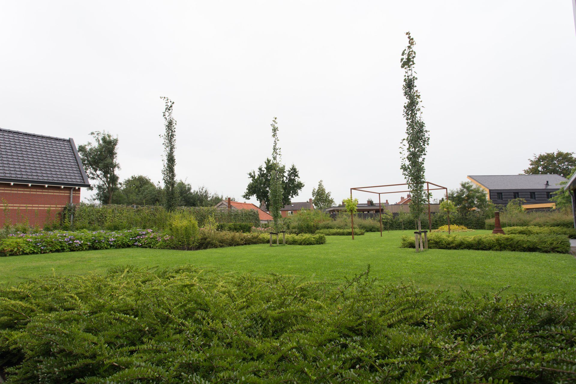 achtertuin in Bedum met populus tremula erecta en klimconstructie met wisteria KTK Kolk Tuinontwerp en Groenadvies