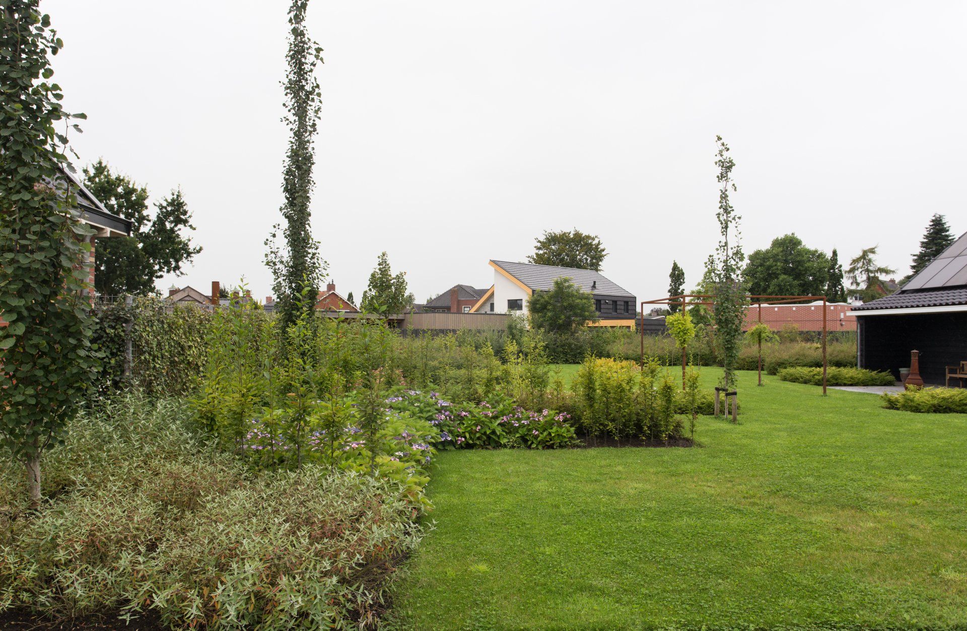 tuin in Bedum met populus tremula erecta en klimconstructie met wisteria KTK Kolk Tuinontwerp en Groenadvies