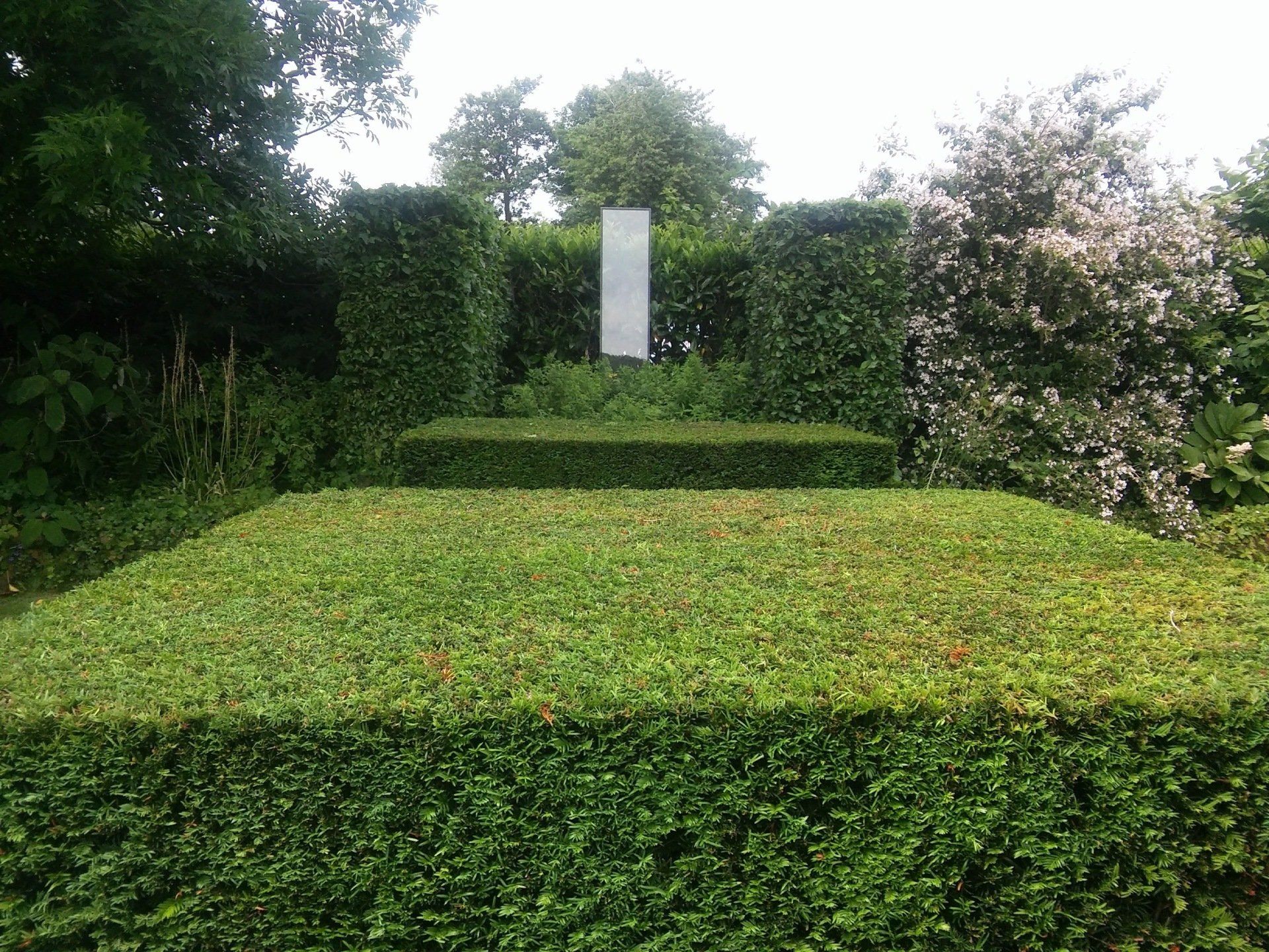 Achtertuin met markante taxusblokken