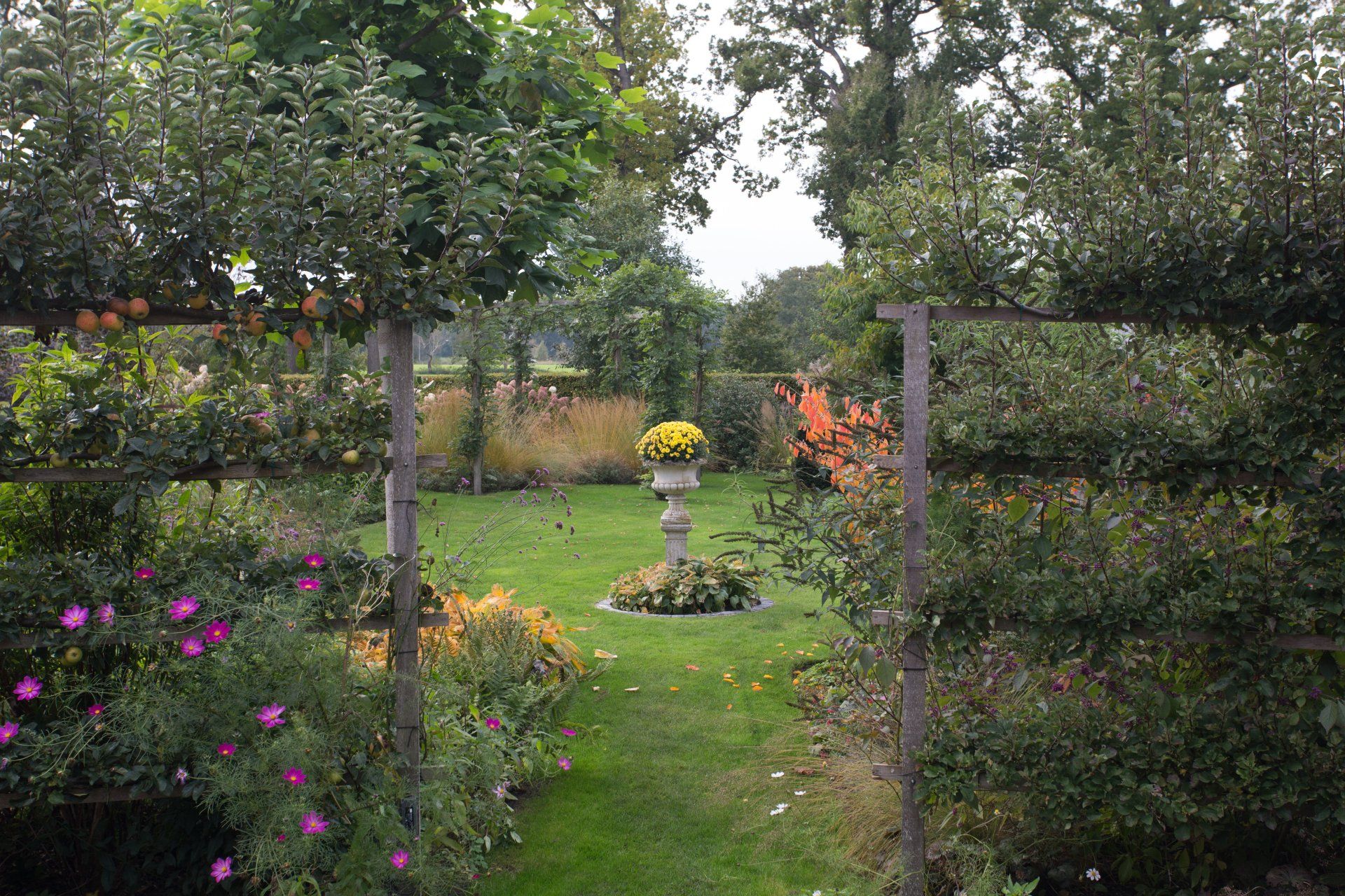 uitkijk op de tuin met op beide kanten een klimplantcontructie Boerderijtuin Roden KTK Kolk Tuinontwerp en Groenadvies