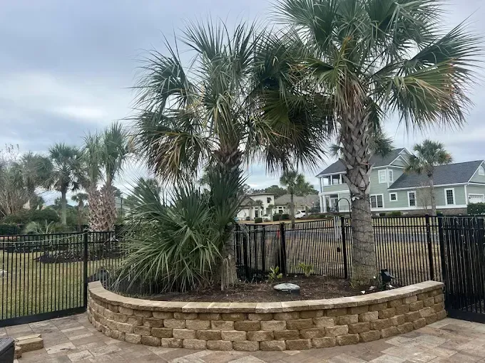 Palm trees in a raised brick planter behind a black wrought-iron fence with houses in the background.