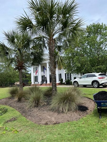 Palm trees flank a white columned house. A car sits in the driveway; mulch and a wheelbarrow in the foreground.