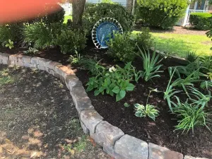 A garden bed edged with stone contains various green plants and a decorative blue plate near a tree.