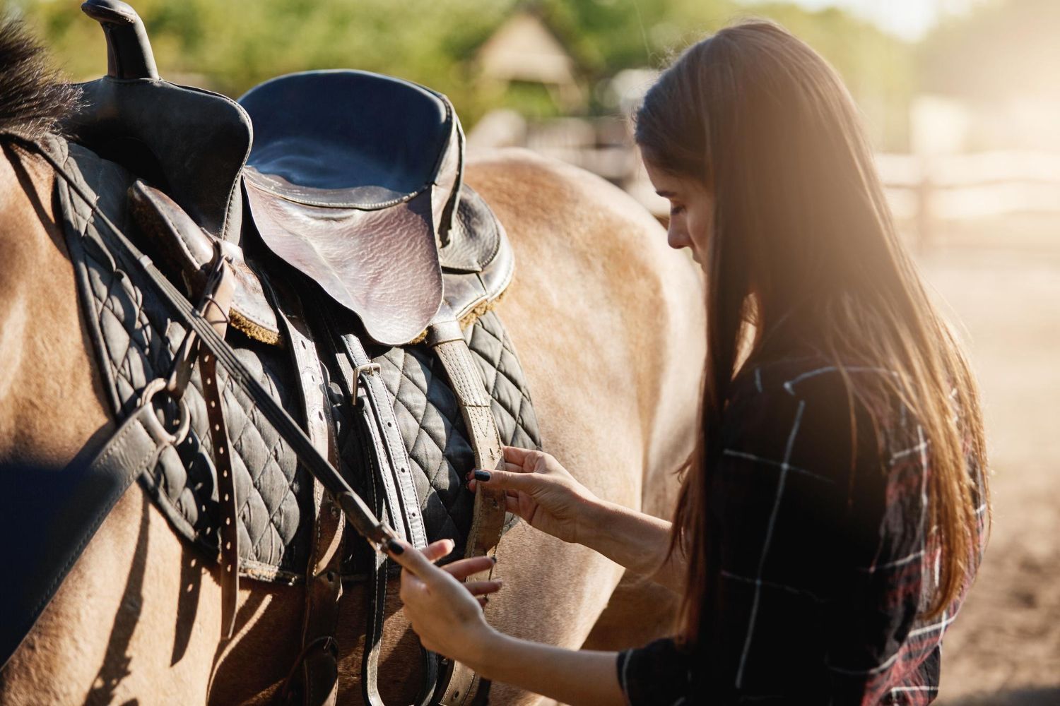 A woman is tying a saddle on a horse.