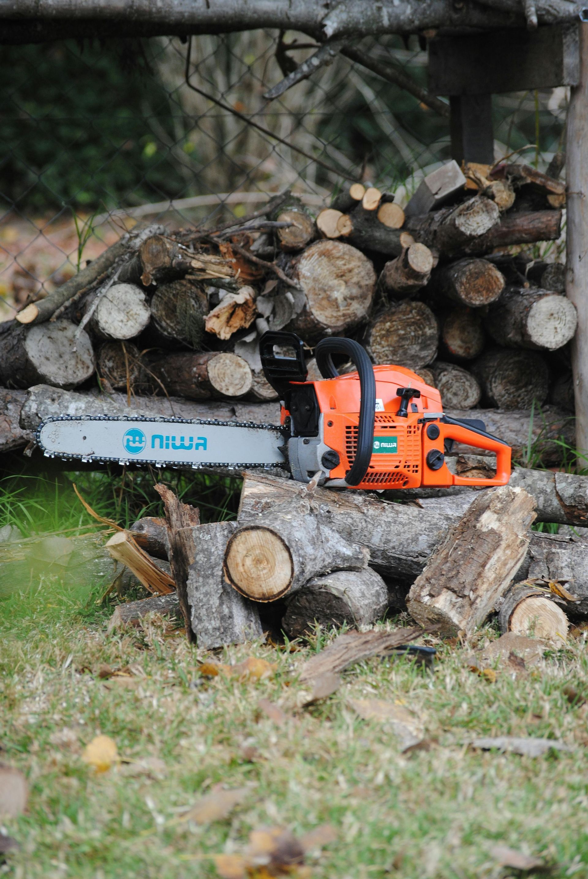Orange chainsaw resting on a pile of cut logs. The setting is outdoors with a wooden structure in the background.
