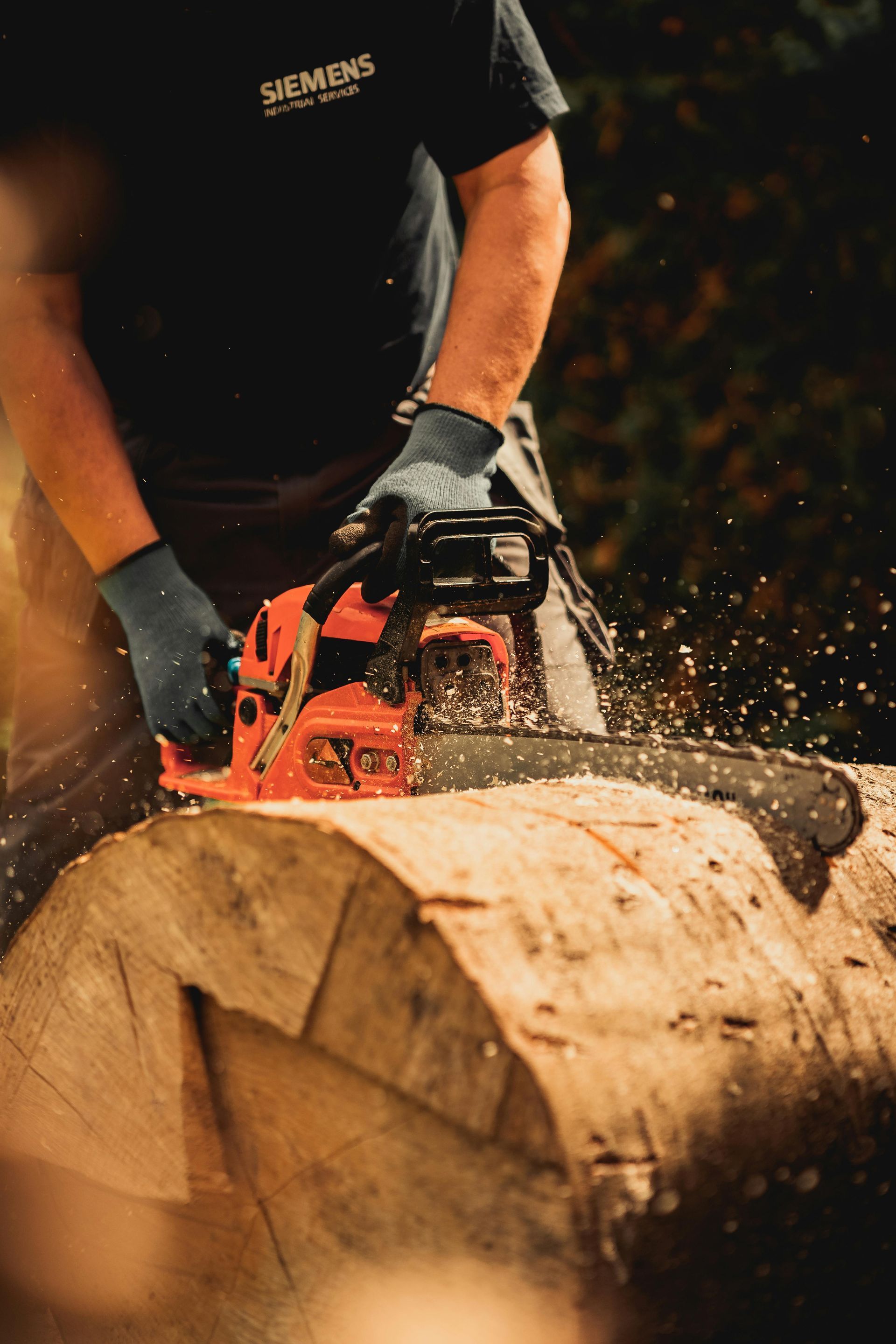 Person wearing gloves using a red chainsaw to cut through a log outdoors, wood chips flying.