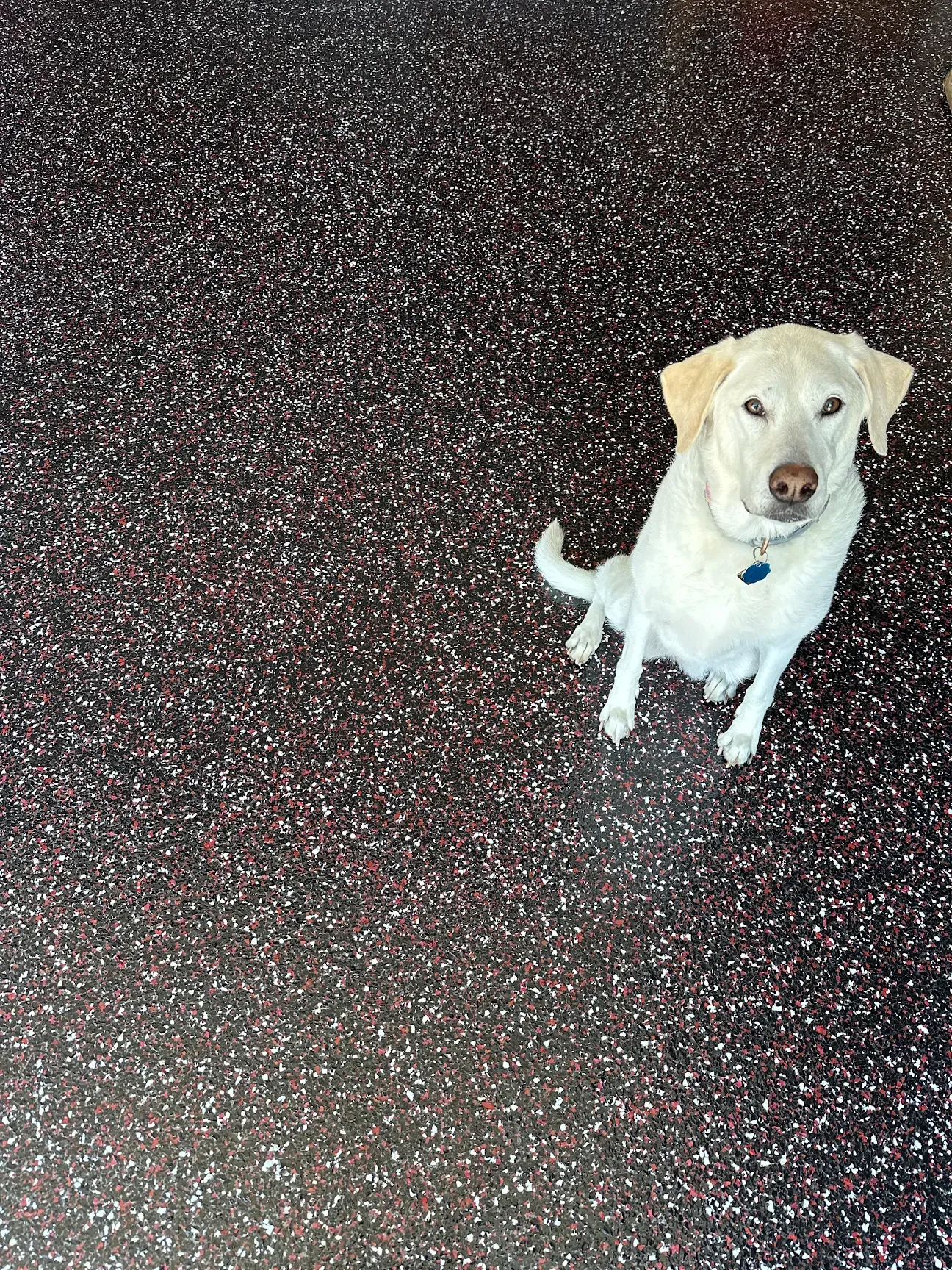 The Epoxy Dude client testimonial