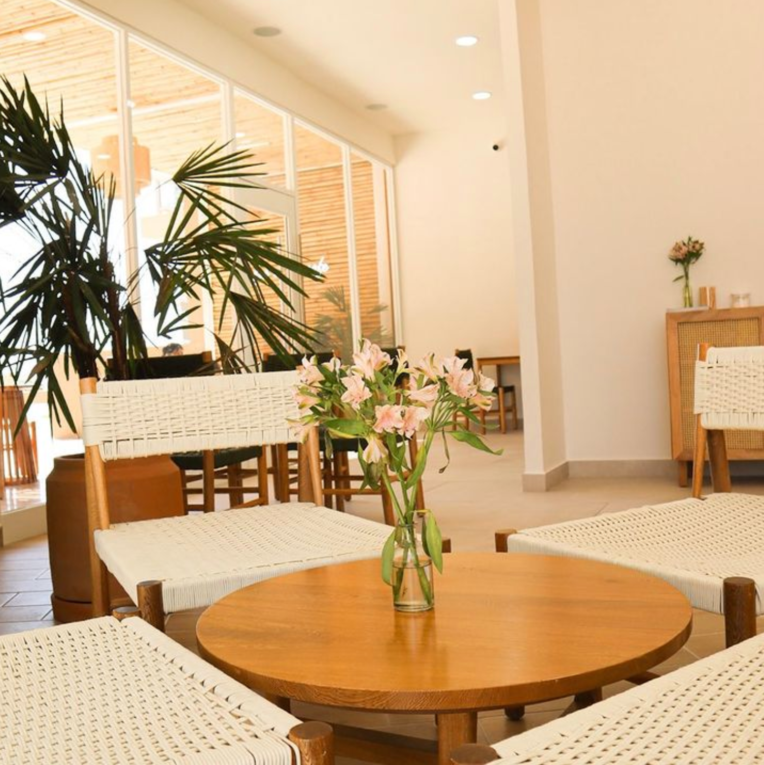 #CaféMexicano  #CafeteríaMéxico  #CaféArtesanal  #AmantesDelCafé #DesayunoMexicano  #SaboresDelCafé  #CaféConAmigos  #CaféDeCalidad  #MomentoDeRelax  #CoffeeLovers