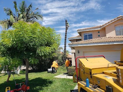 Tree removal in progress near a beige house. Workers in orange vests, chipper machine, palm tree trunk.