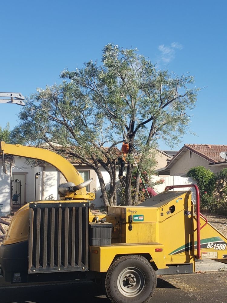 Yellow wood chipper next to a tree being trimmed by a person in an orange vest, sunny day.