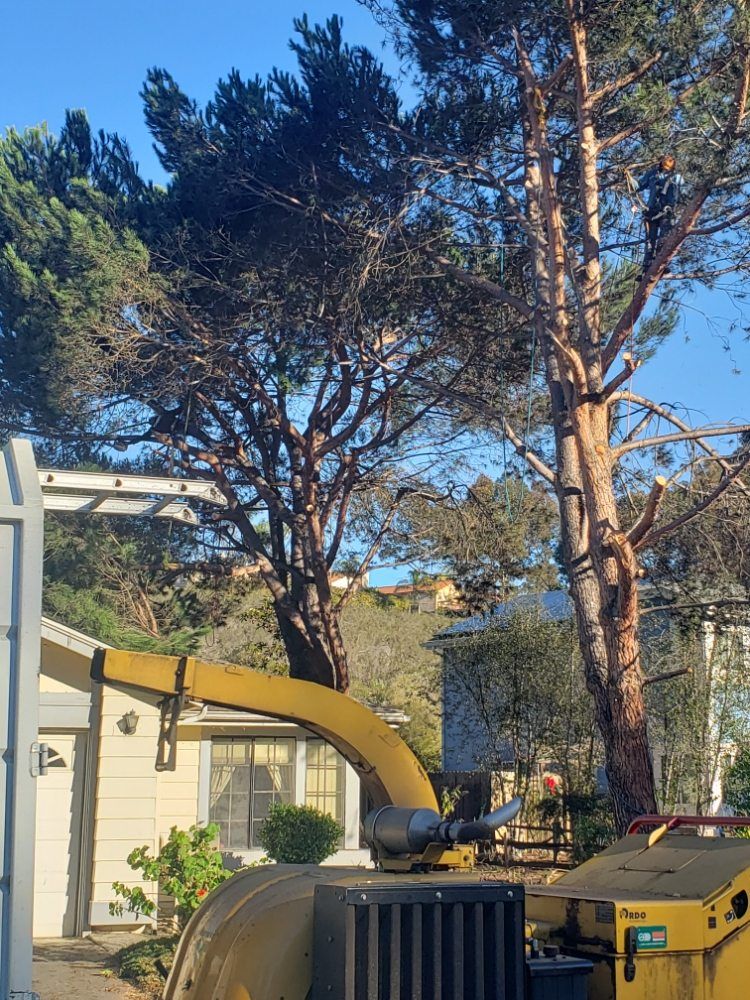 A wood chipper in front of a house, with trees overhead under a blue sky.