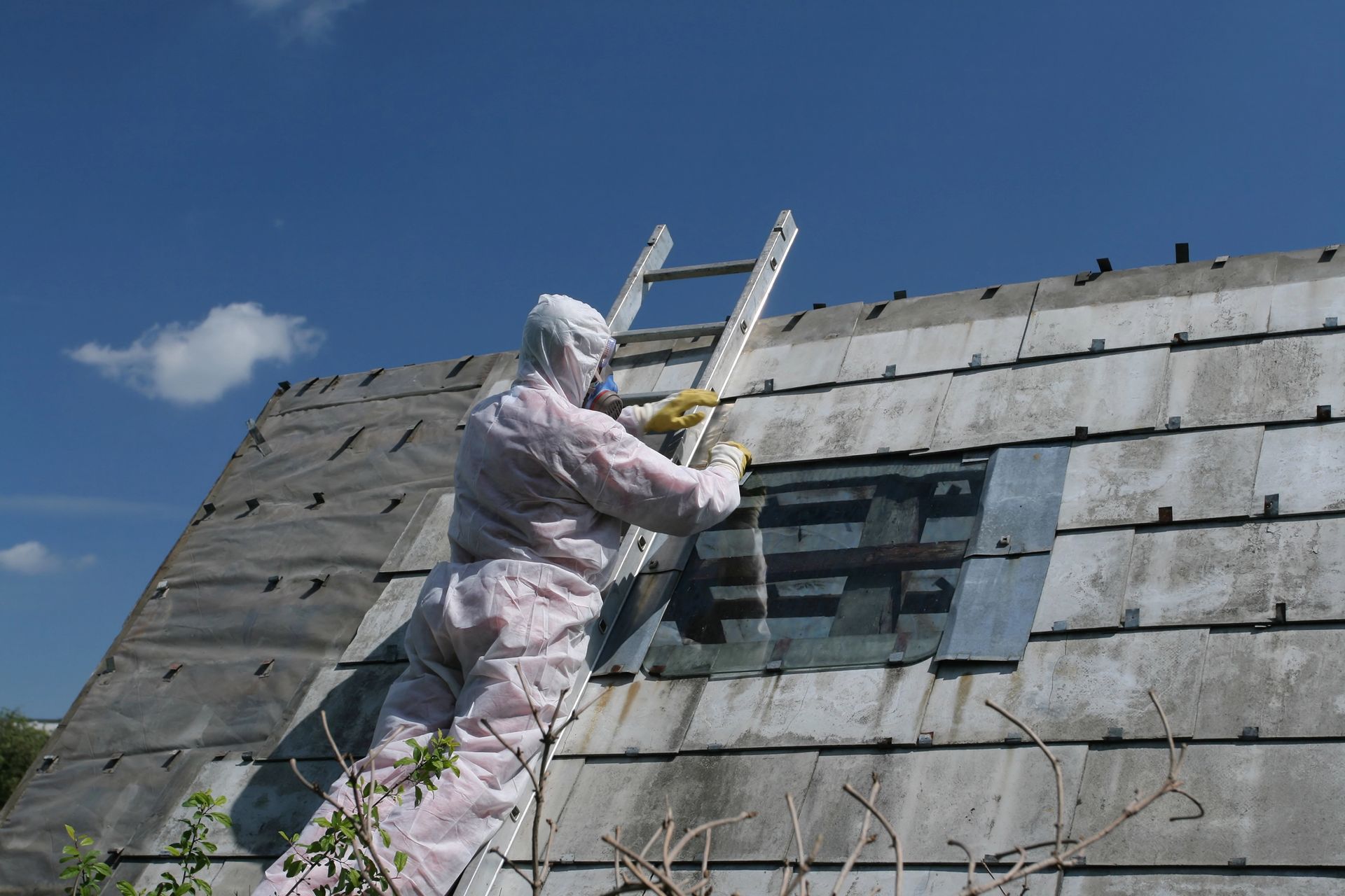 Asbestos Abatement in Springfield, IL