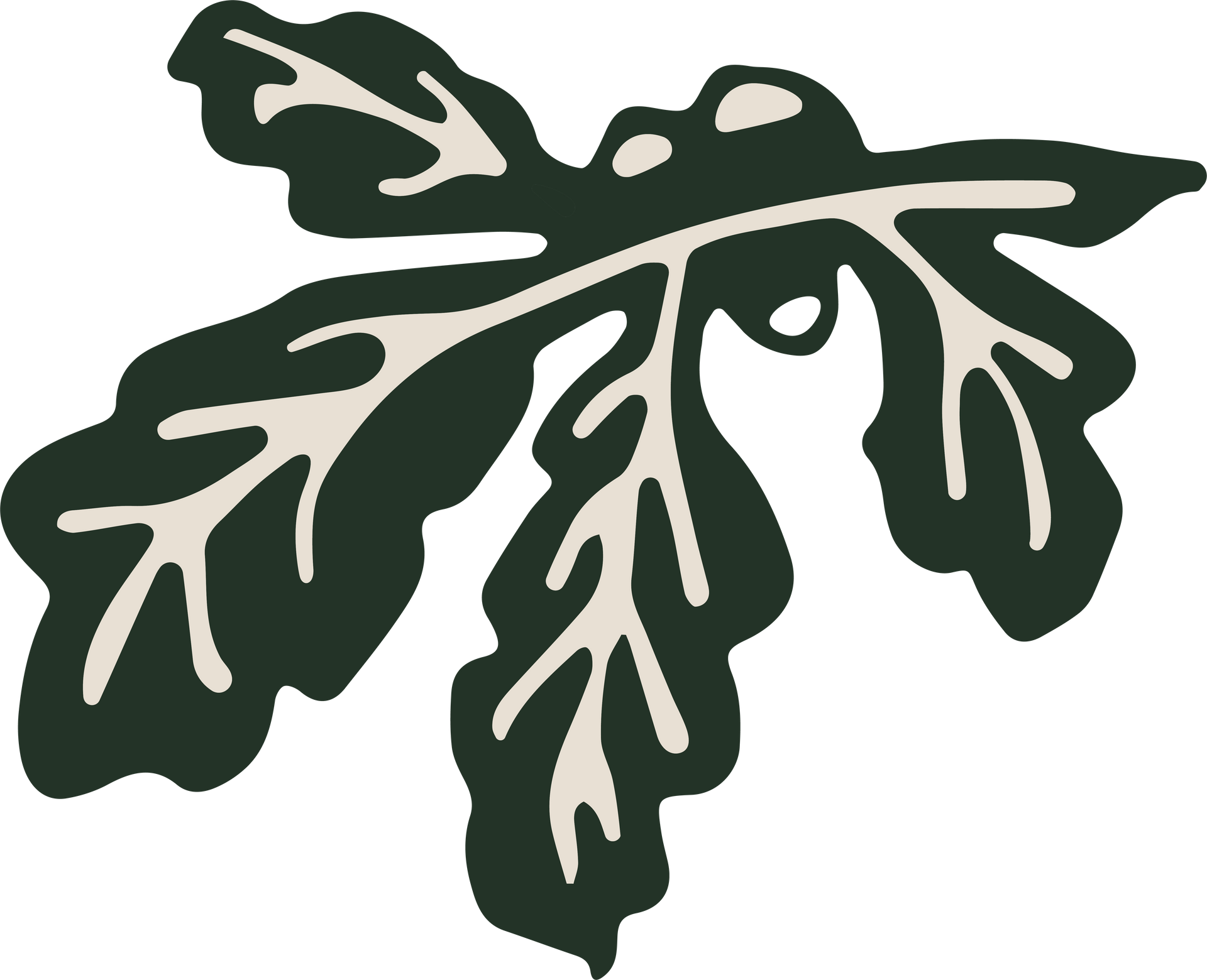 Dark green leaf with light green veins.